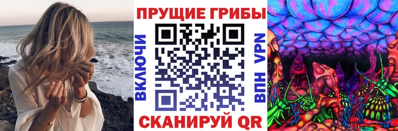 Псилоцибиновые грибы ЛСД  Купить  Новоржев 